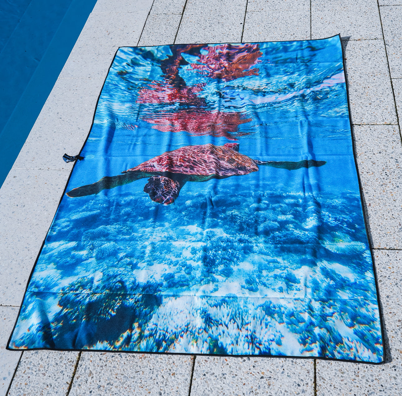 Oyster Stacks Towel